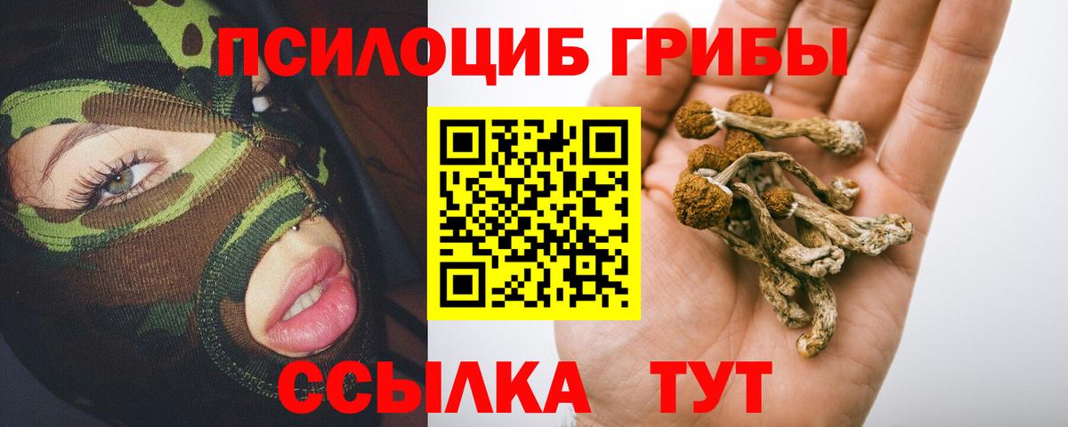 Галлюциногенные грибы MAGIC MUSHROOMS  Вход с VPN  Прохладный 